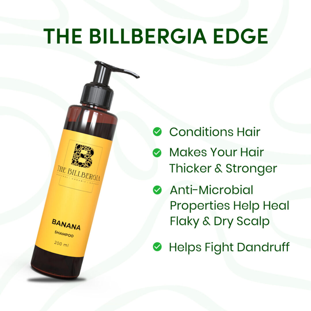 The Billbergia Banana Shampoo for Smooth & Thicker Hair – The Billbergia